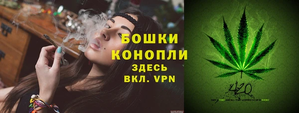 a pvp Аркадак