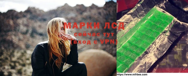 шишки Сосновоборск